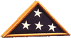Patriot Flag Case